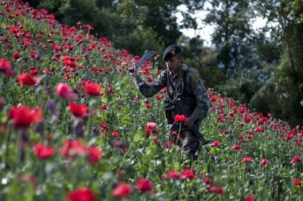 Guatemala: instalan comisión especial sobre drogas 