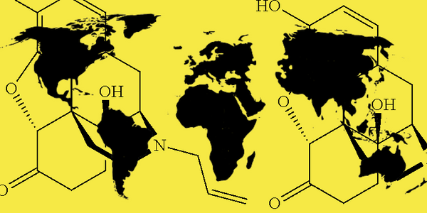 Global naloxone accessibility survey