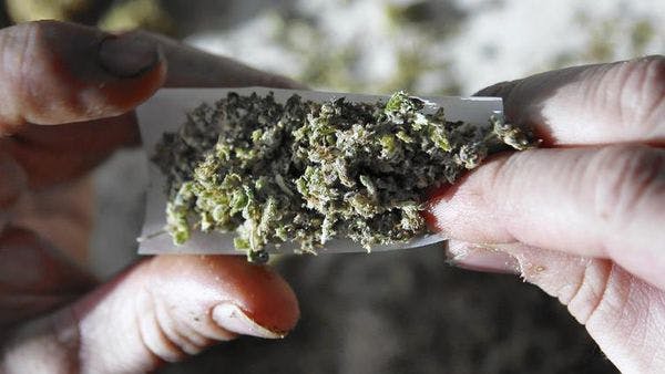 Autorizan a pueblos indígenas de EU cultivar y vender marihuana