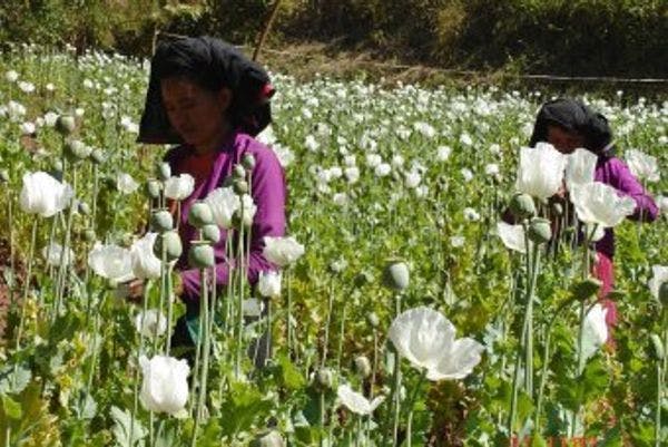 Myanmar signs landmark agreement with United Nations to tackle drugs and crime