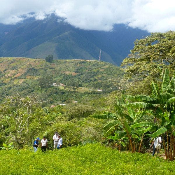 Colombia’s lawmakers seek to take control of the cocaine market. It’s a long shot.