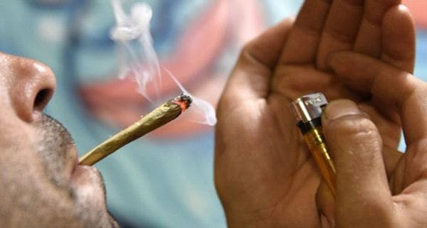 Barcelone ferme 49 clubs de cannabis