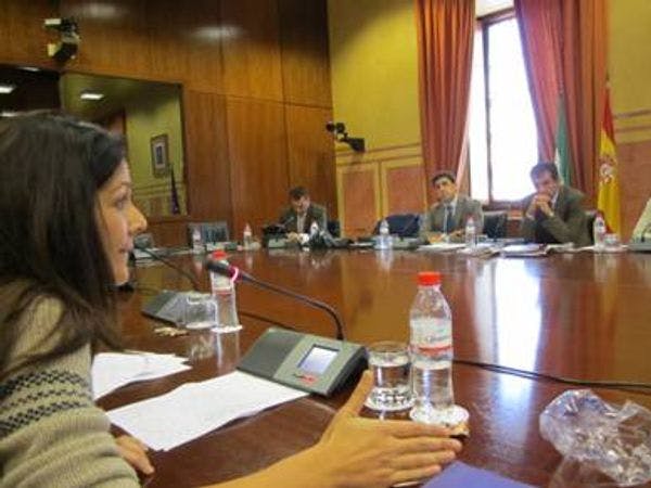 Enlace denuncia en el Parlamento Andazuz nuevos recortes sociales para 2013 