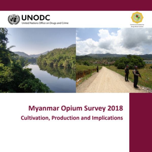 Encuesta del opio en Myanmar 2018: cultivo, producción y consecuencias