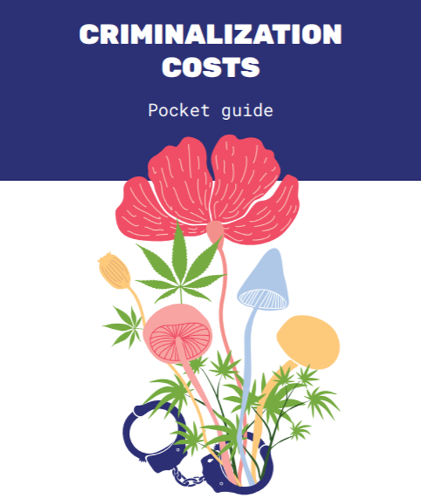 Costos de la criminalización en Europa Central y Oriental y Asia Central - Guía de bolsillo