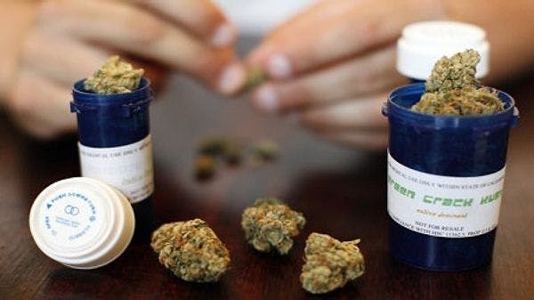 Trump affirme qu’il pourrait soutenir un projet de loi sur le cannabis, en rupture apparente avec Sessions