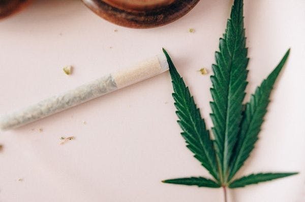 Respuestas de salud y sociales a los problemas relativos al cannabis en Europa – ¿Hacia un cambio de paradigma?