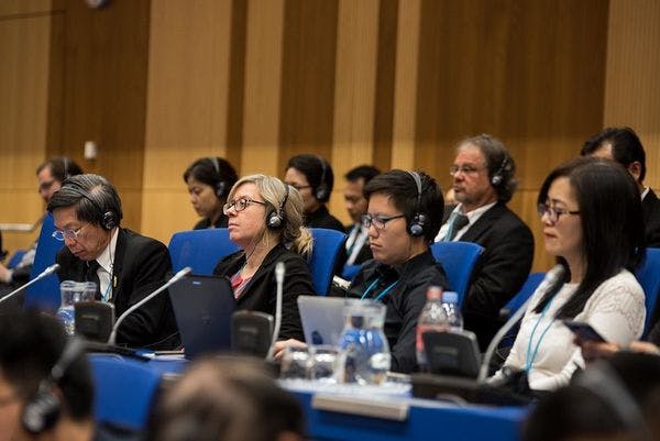 Réunion intersession de la CND