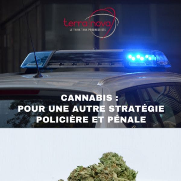 Cannabis : pour une autre stratégie policière et pénale