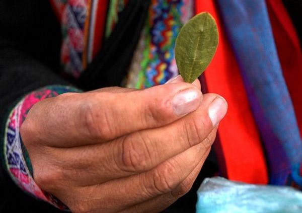 UE dona a Bolivia 27 millones de euros para la lucha antidroga y el desarrollo integral de agua y saneamiento