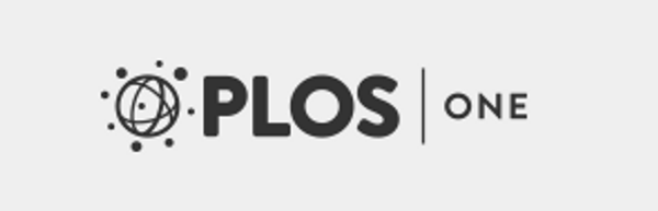 Hepatitis C avoidance in injection drug users: A typology of possible protective practices