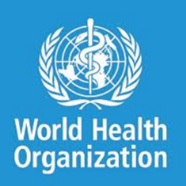 Do national drug control laws ensure the availability of opioids for medical and scientific purposes?