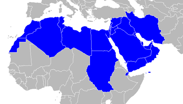 The launching of the MENA Regional Coalition