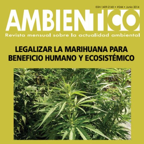 Legalizar la marihuana para beneficio humano y ecosistemico 