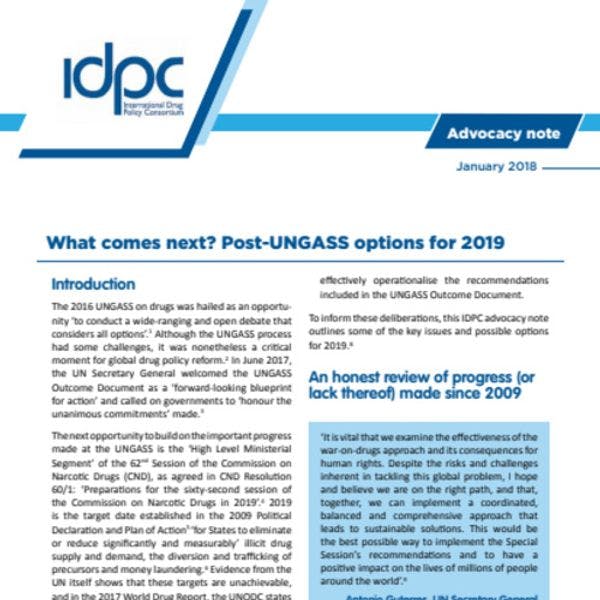 ¿Y ahora qué? Opciones después de la UNGASS para 2019 - Versión 4