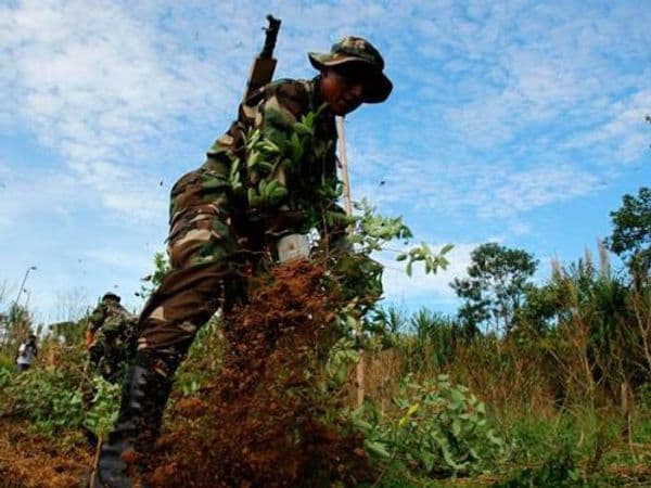 La reconversión de políticas sobre drogas en el VRAEM y en el Perú