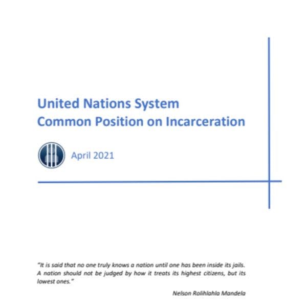 Posición común del sistema de la ONU en materia de encarcelamiento 