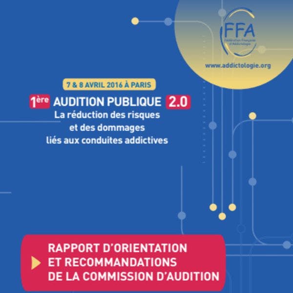 1ère audition publique 2.0: Rapport d’orientation et recommandations de la commission d’audition