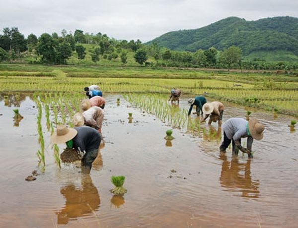 สถานทูตออสเตรเลีย กรุงเทพฯ ขอเชิญบุคคลและองค์กรที่สนใจส่งข้อเสนอโครงการเพื่อขอรับทุนสนับสนุนโดยตรง 