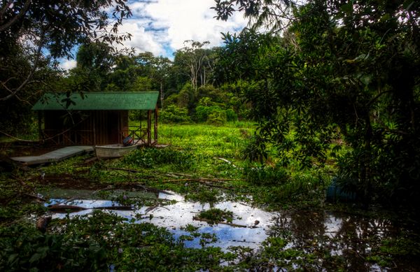 The UK agents tackling Colombia's drug barons