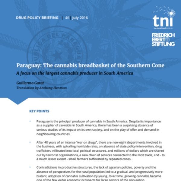 Paraguay : Le grenier à cannabis du Cône Sud