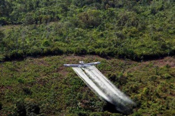 Ecuador compensará a afectados por fumigaciones antidrogas de Colombia