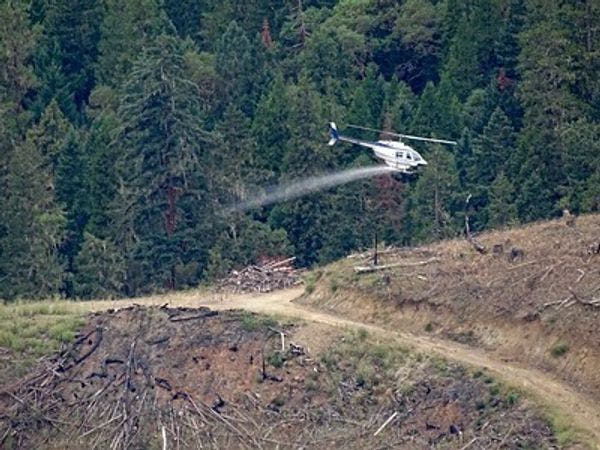 Colombia: Corte Constitucional le dijo no al trámite con el que el Gobierno reanudaría las fumigaciones con glifosato