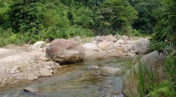 ARIARI-GUAYABERO, una región que vive entre guerra y extractivismo