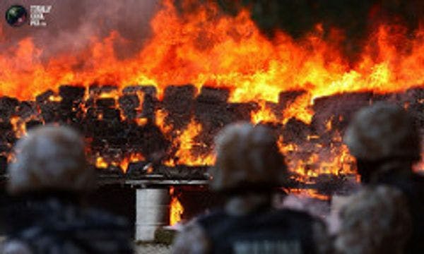 La guerra contra las drogas en México: qué se ha conseguido y cuál es la participación de los Estados Unidos