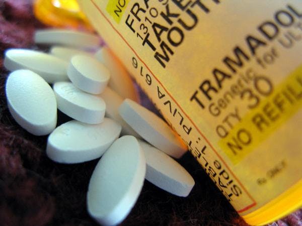 Explorando narrativas ocultas en el tráfico de tramadol y el traslado de migrantes en África Occidental