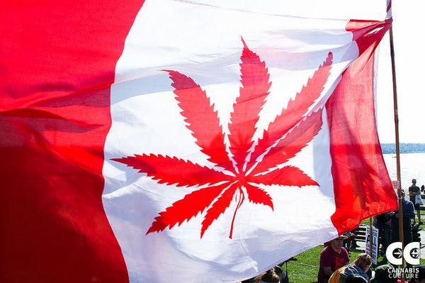 Canadá legaliza el consumo de cannabis con fines recreativos