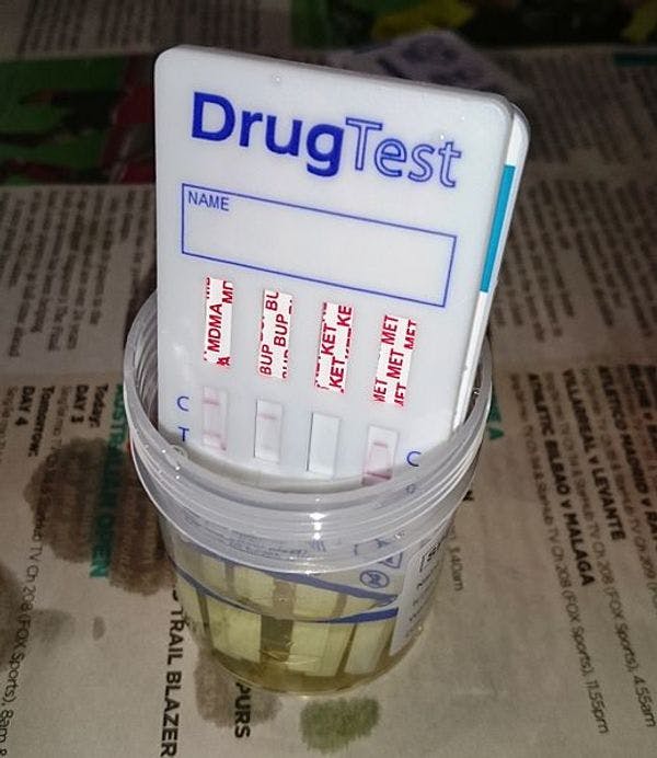 'Demeaning': Critics condemn reintroduction of bill to drug test welfare recipients in Australia 