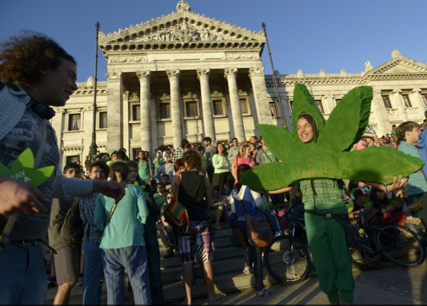 Cannabis : l'Uruguay ose la légalisation