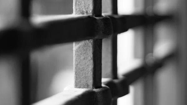 Alternatives to criminal sanctions for drug offenders in Hungary: A short overview