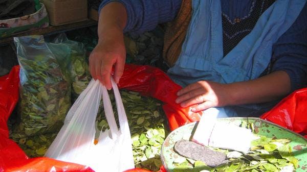 The Netherlands joins Mexico and announces that it will withdraw the objection to the Bolivian declassification of the coca leaf from the 1961 Convention