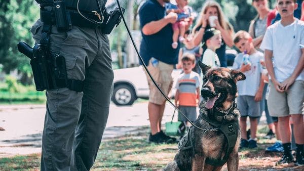 Australia: "Falta total de coraje político" - Mientras la guerra contra las drogas en Nueva Gales del Sur hace estragos, un experto renueva la presión por la despenalización