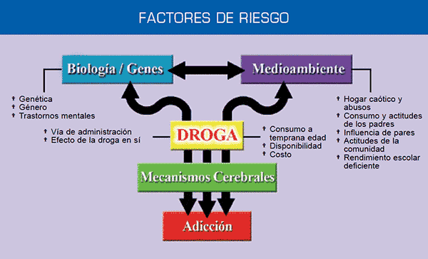 Prevención de drogas lícitas e ilícitas desde el  estado plurinacional de Bolivia: una obligación de todos