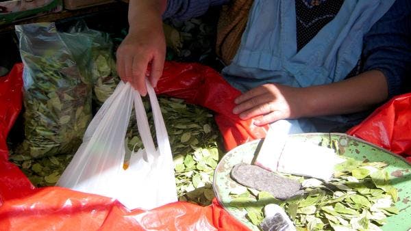 Bolivia buscará la desclasificación de la hoja de coca como estupefaciente