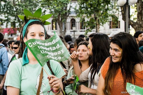 Qu'est-il arrivé aux réformes progressives sur les drogues en Amérique Latine?