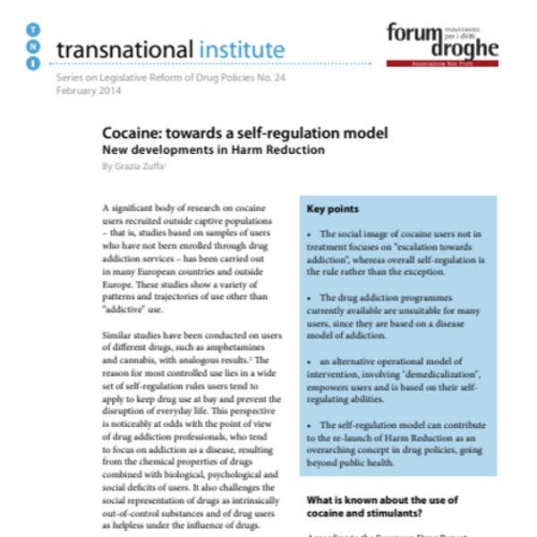 Cocaine: towards a self-regulation model