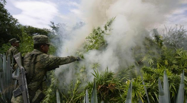 Les Nations unies revoient leur politique de lutte contre les drogues