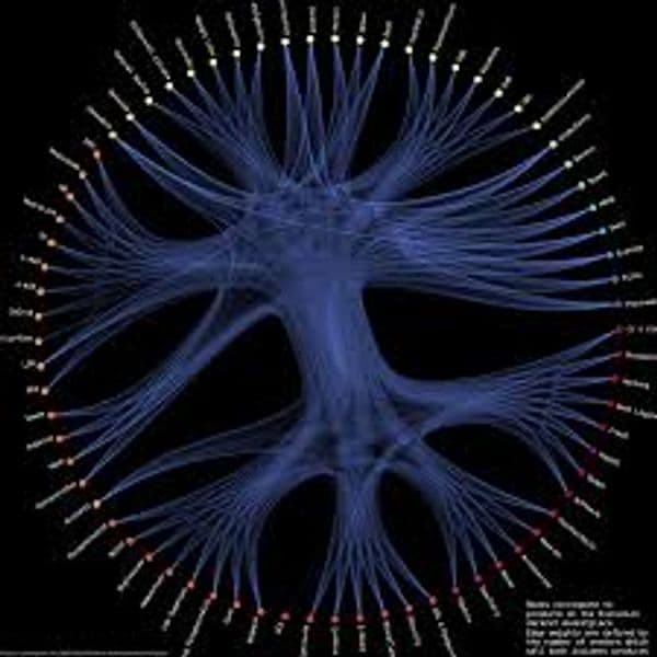 ¿Pueden los mercados de drogas en la web oscura reducir el riesgo de uso de sustancias?