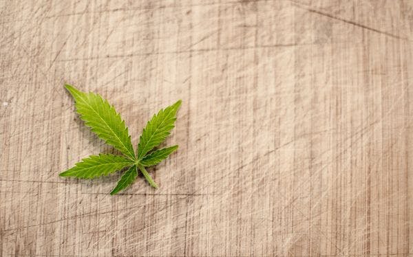 Las nuevas sentencias del tribunal constitucional: El final de la tolerancia hacia el cannabis en España