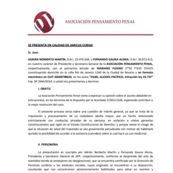 Amicus curiae en Argentina por la Asociación Pensamiento Penal