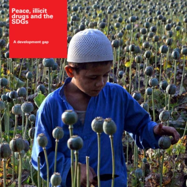 Peace, illicit drugs and the SDGs - A development gap