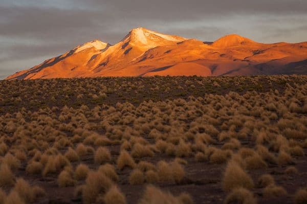 Ley antidroga propone reducción de penas en Bolivia