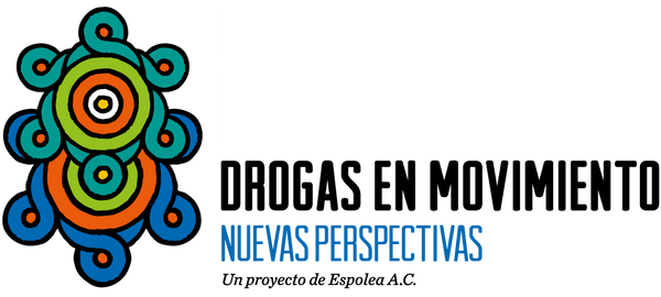 Política de drogas y Política de desarrollo forestal: Una reflexión necesaria en el Día Mundial del Medio Ambiente