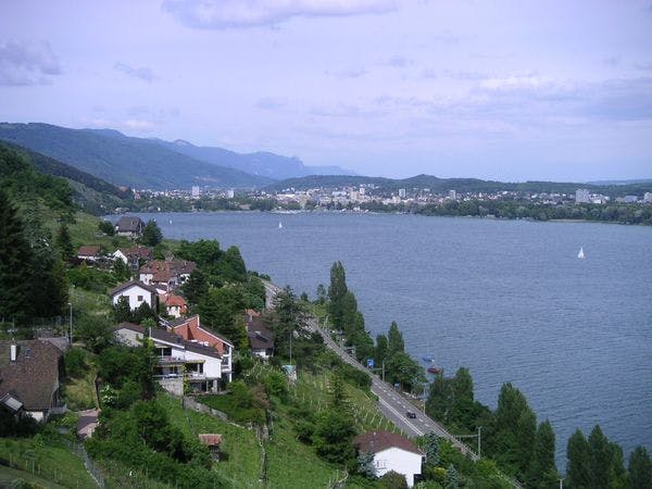 Bienne analyse la légalisation du cannabis