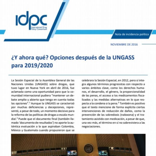 ¿Y ahora qué? Opciones después de la UNGASS para 2019/2020