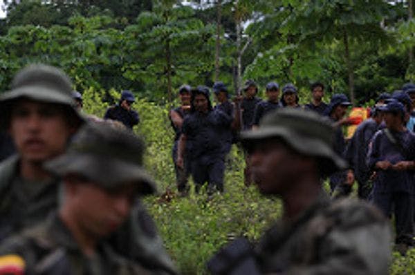 La Coalición acciones para el cambio (APC) solicita al gobierno nacional suspender los operativos de erradicación forzada durante la contingencia del COVID-19, a fin de garantizar los derechos de la poblaciones rurales